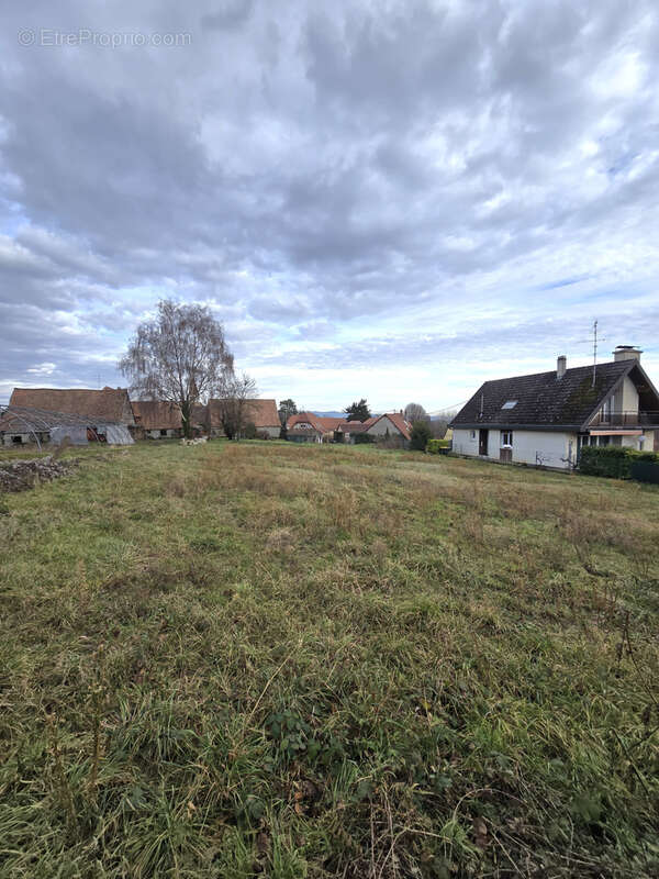 Terrain à ESCHENTZWILLER