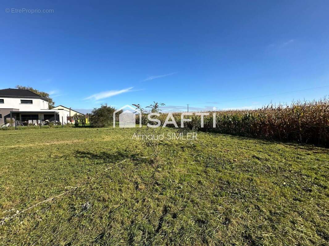 Photo 2 - Terrain à SAASENHEIM