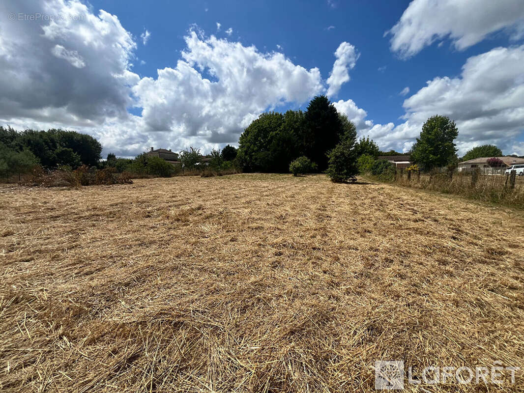 Terrain à PUGNAC