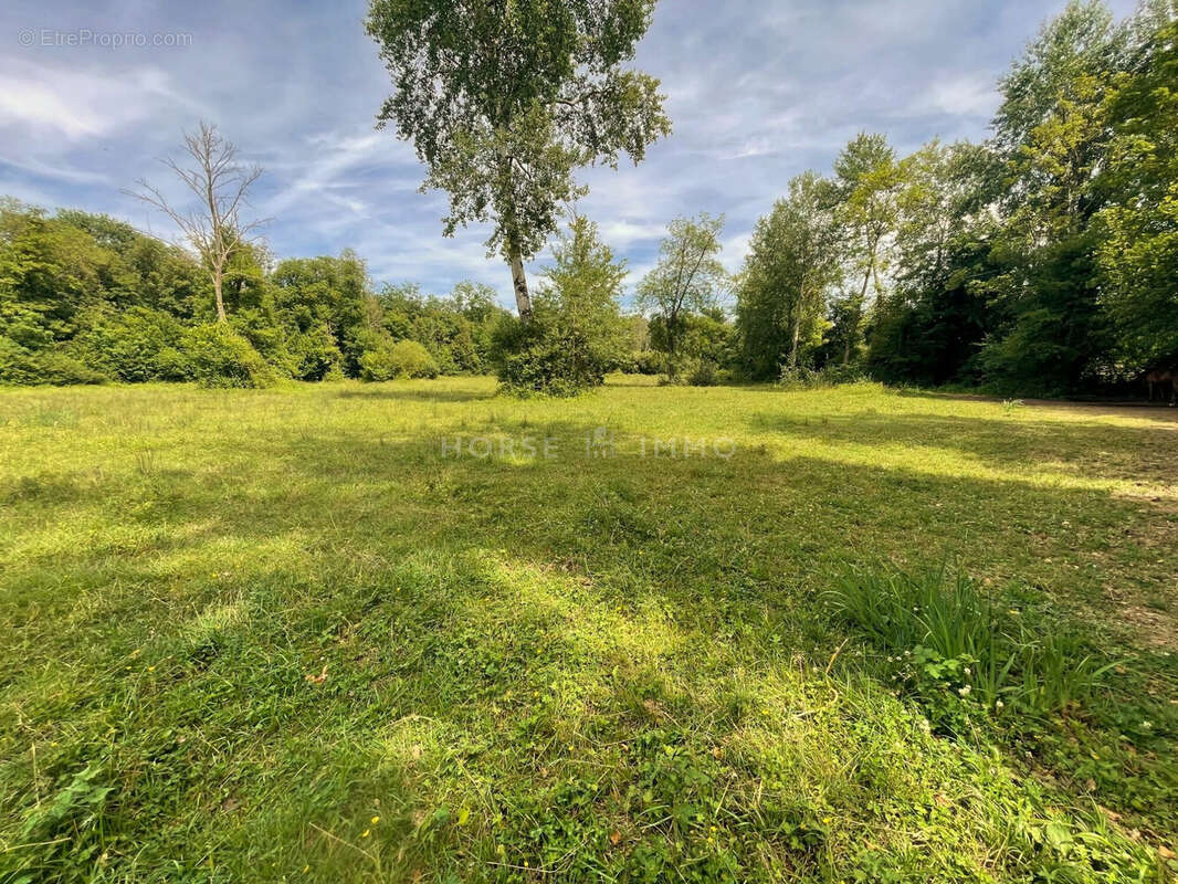 Maison 240 m² à Fontainebleau  - photo 6