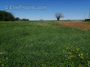 Terrain à RAUZAN