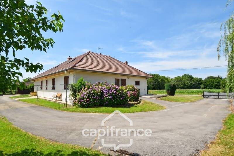 Maison à PIERRE-DE-BRESSE