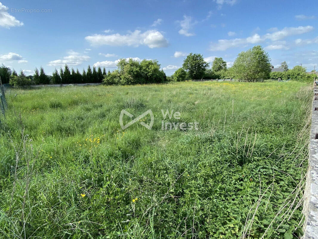 Terrain à MONDREPUIS