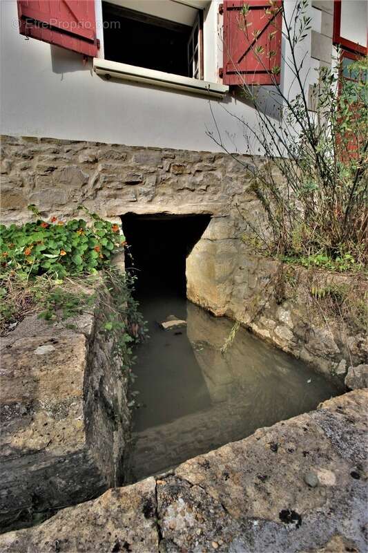 Maison à SAINT-MARTIN-DE-SEIGNANX