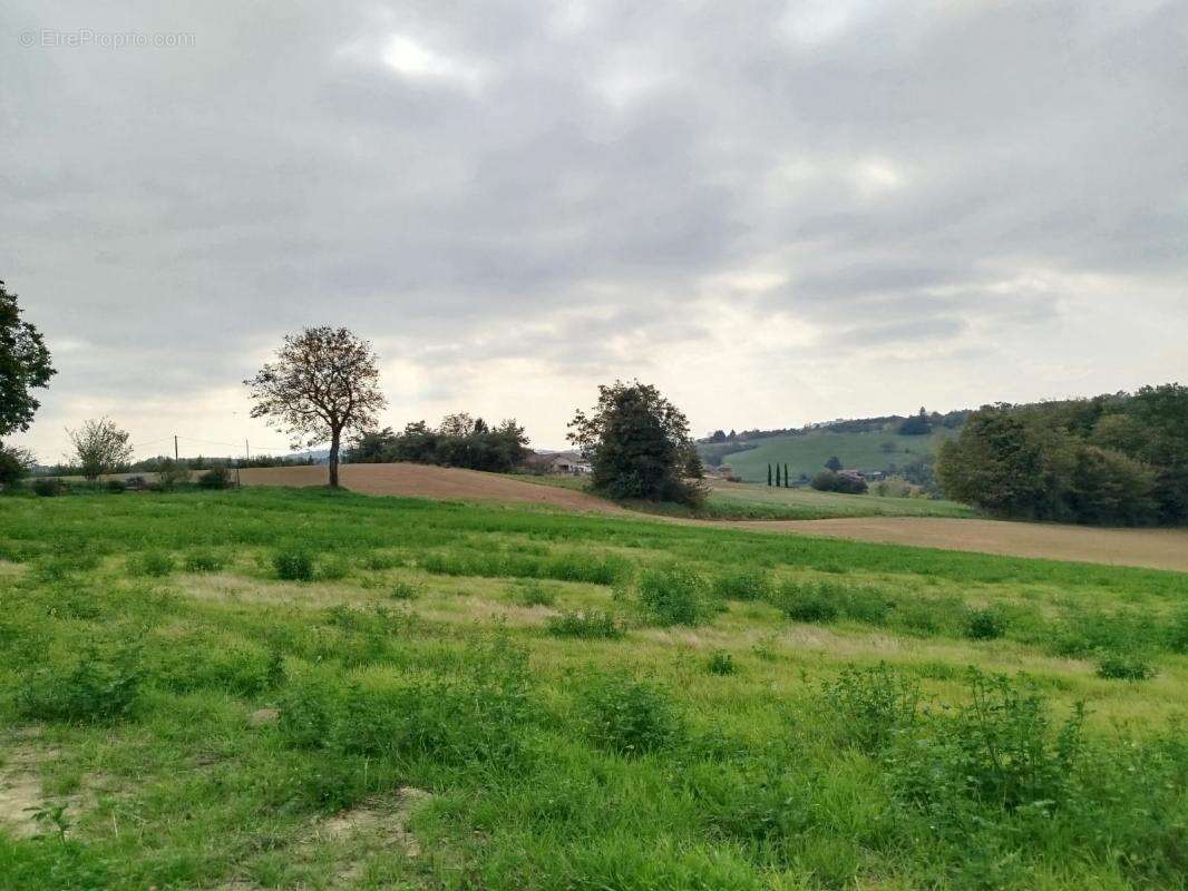 Terrain à MONTCHENU