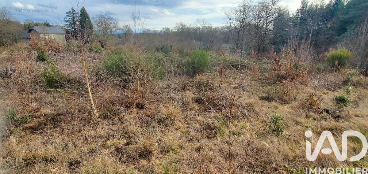 Photo 5 - Terrain à CHIRAC-BELLEVUE