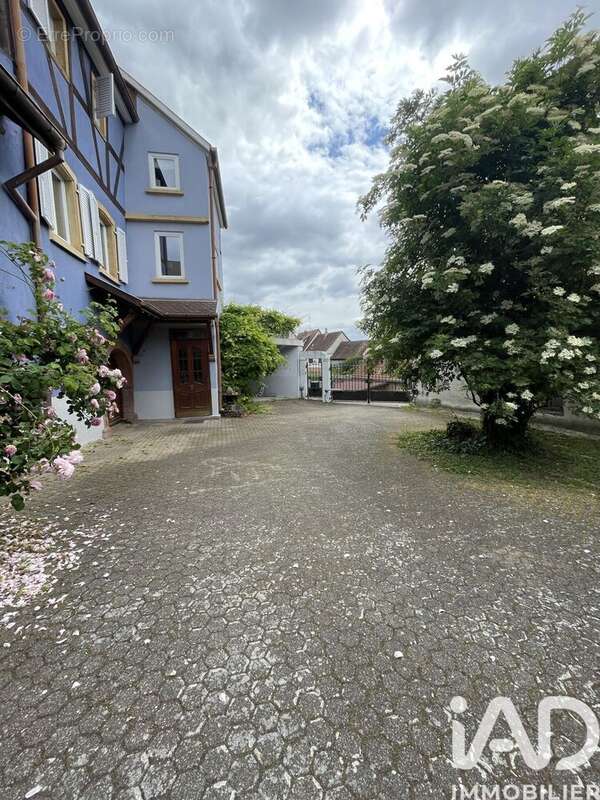 Maison 234 m² à Hattstatt  - photo 9
