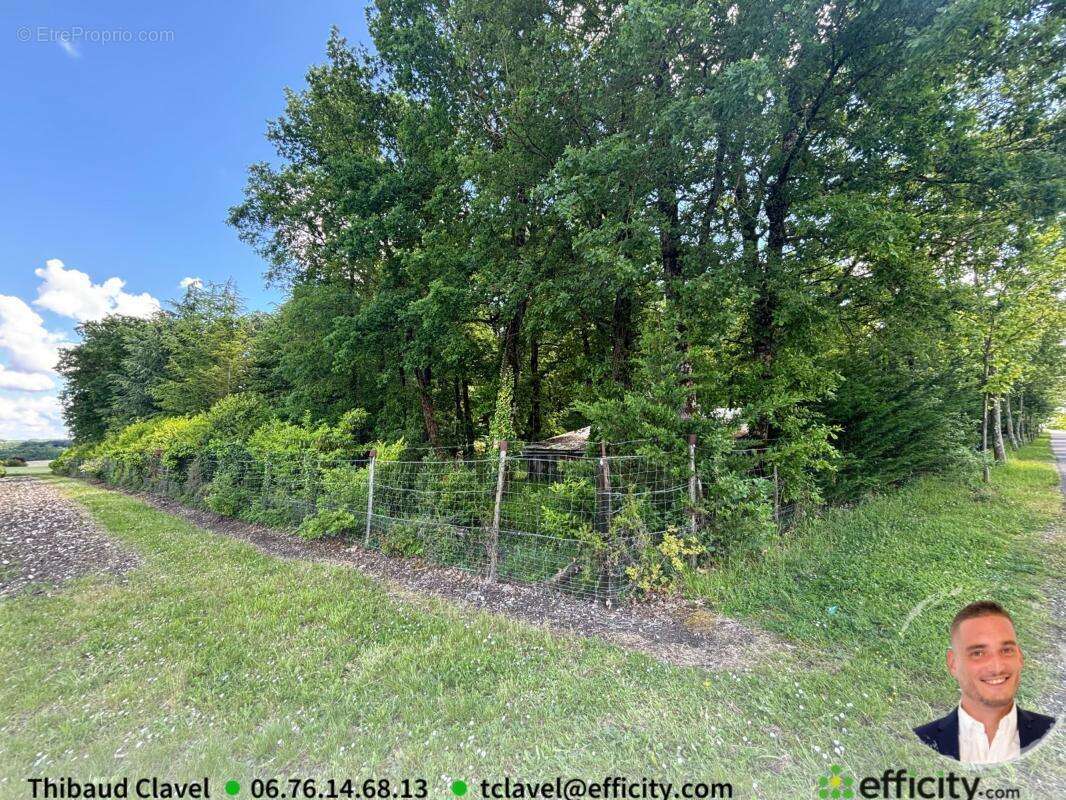 Terrain à BARBEZIEUX-SAINT-HILAIRE