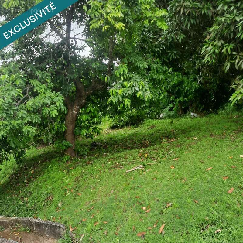 Photo 2 - Terrain à LE ROBERT