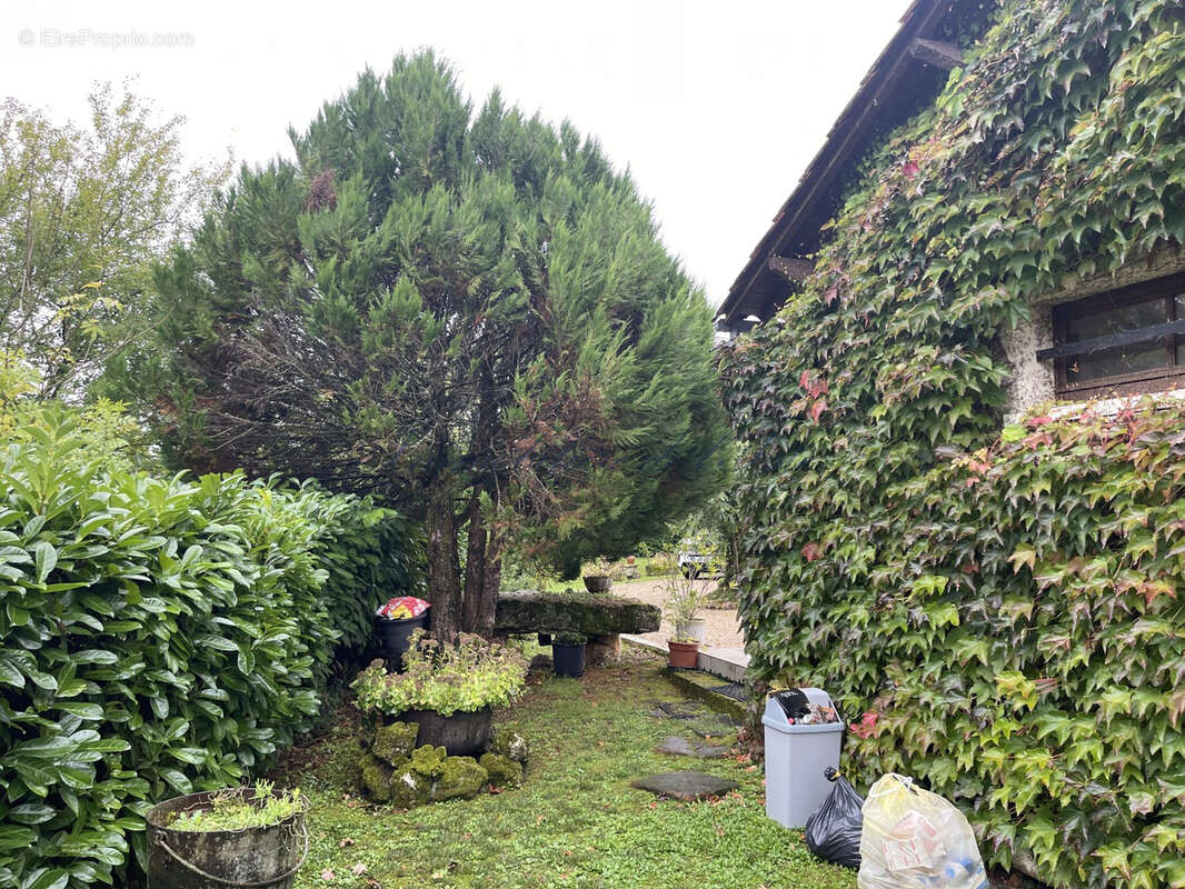 Maison à LA TOUR-BLANCHE