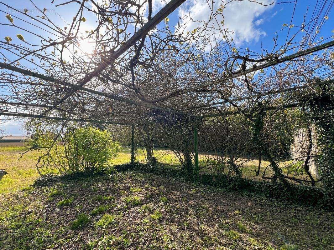 Maison à LIVRON-SUR-DROME