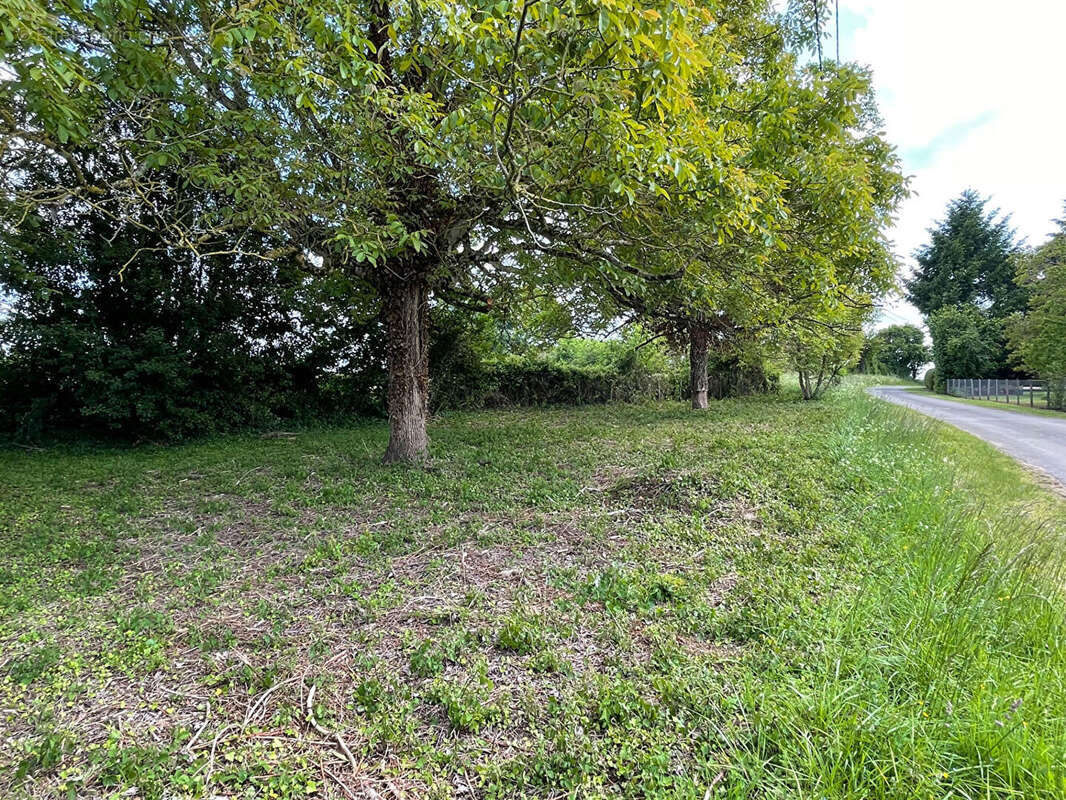 Fermette 80m² à savigné - photo 14