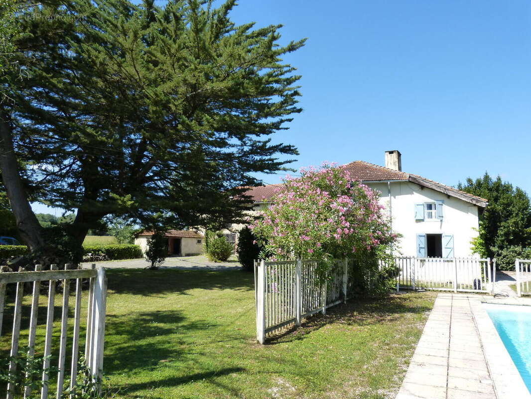 À vendre, dans le Gers proche de Trie-sur-Baise: maison gasconne 4 chambres avec gîte 3 chambres, piscine et jardin de 6 904 m². - photo 3