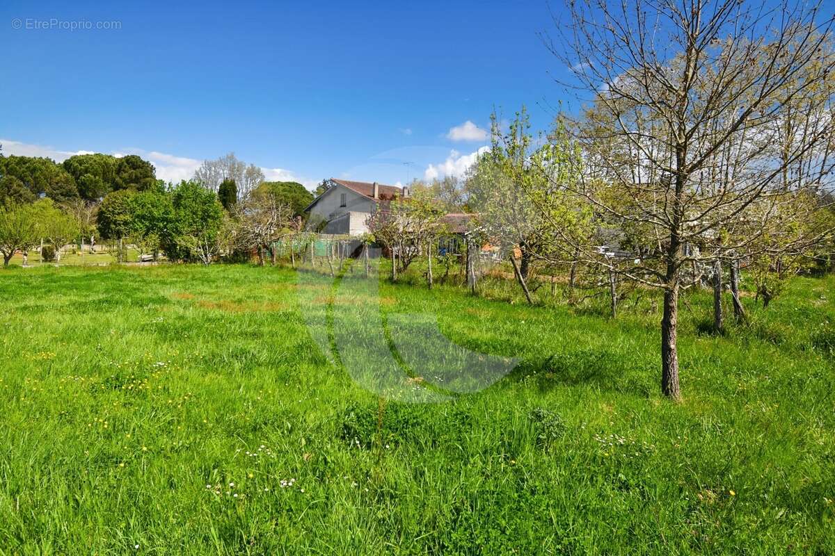 Terrain à NEGREPELISSE