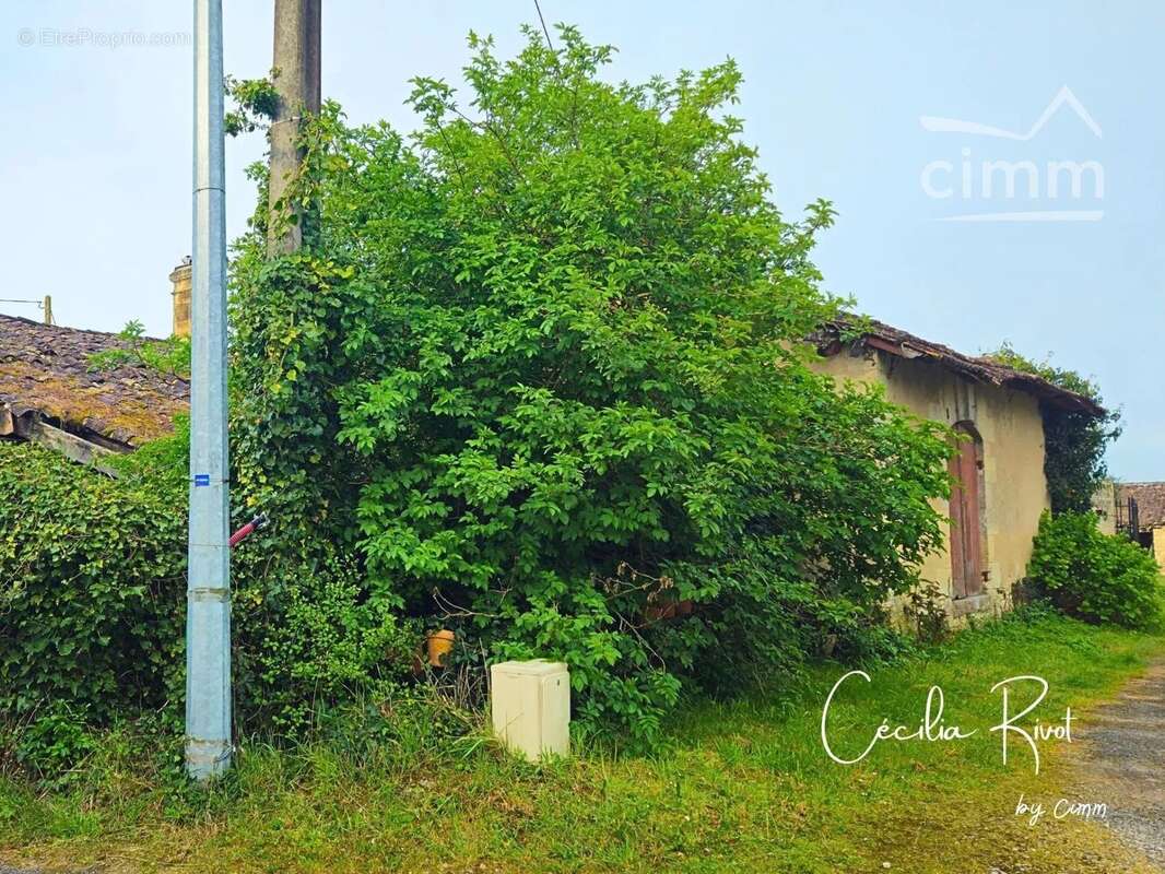 Ancien chai - photo 5