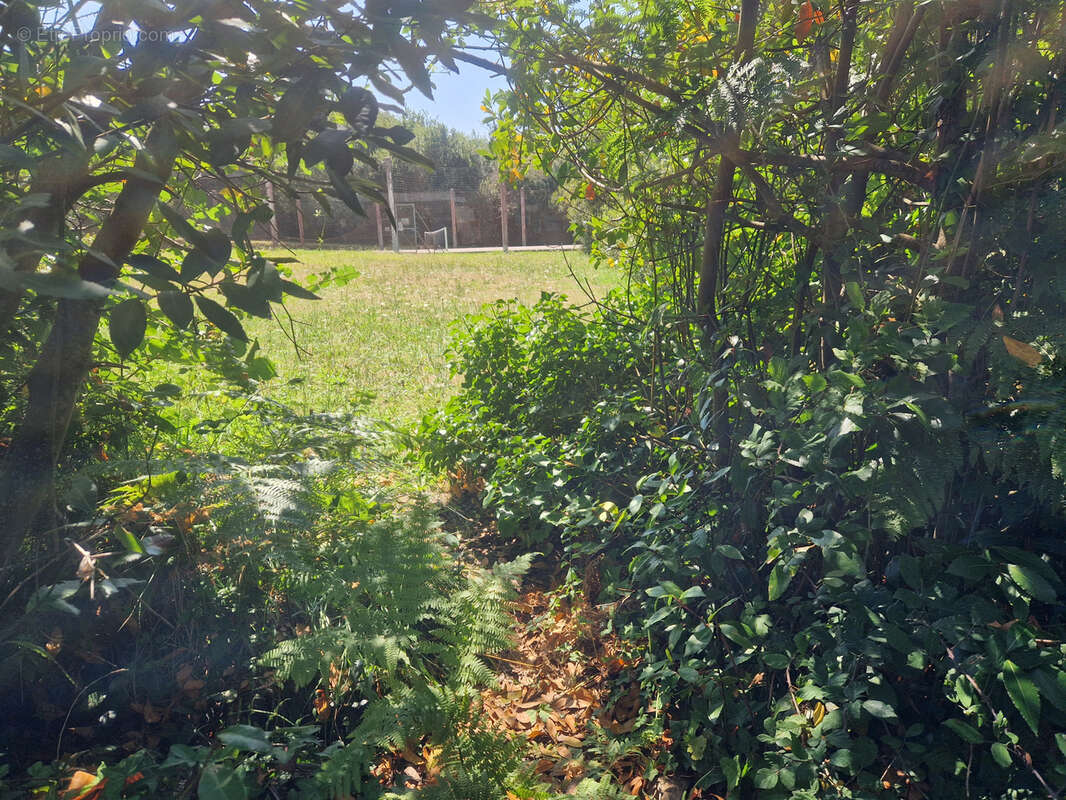 Terrain à L'ILE-D'YEU