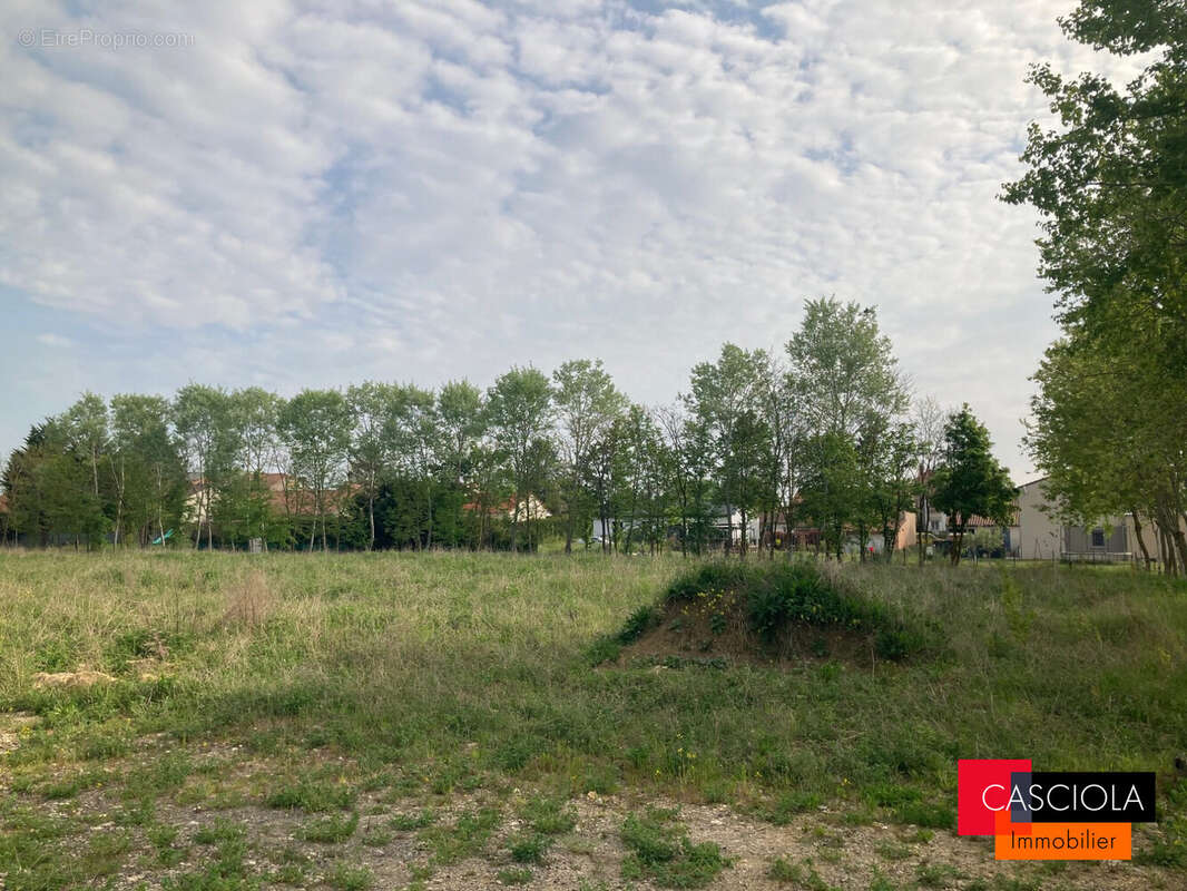 Terrain 6031 m² à Giraumont  - photo 5