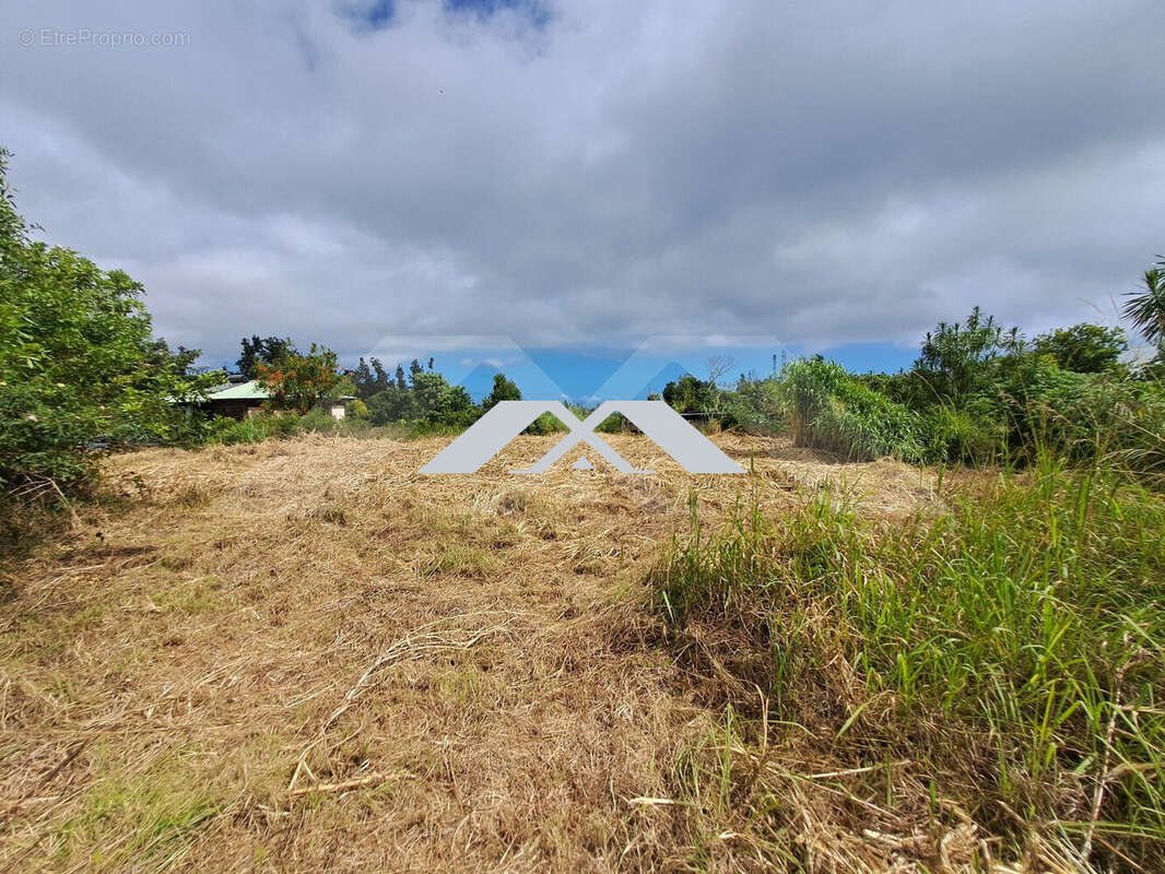Terrain à SAINT-JOSEPH
