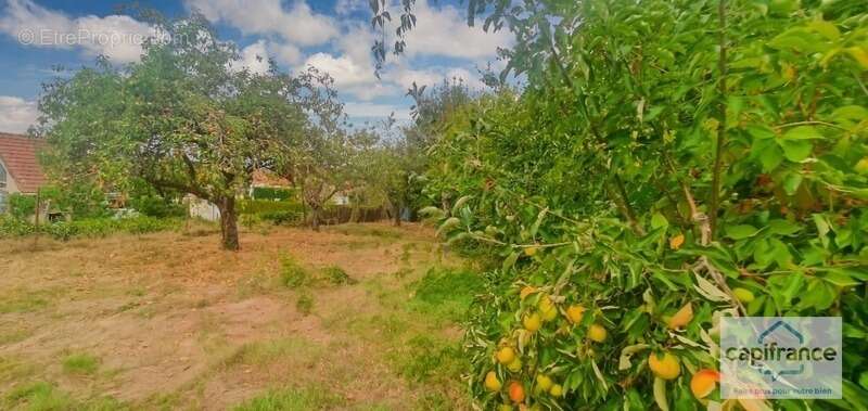 Maison à MONTCEAU-LES-MINES