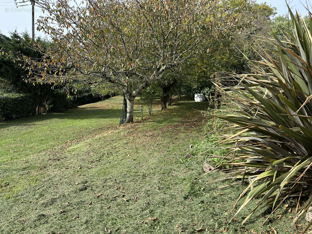 Maison à L'ISLE-EN-DODON