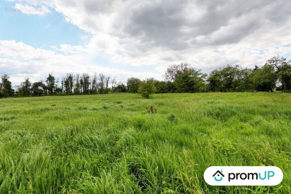 Terrain à NOHANT-EN-GOUT