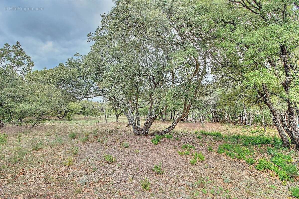 Maison à BAUDINARD-SUR-VERDON
