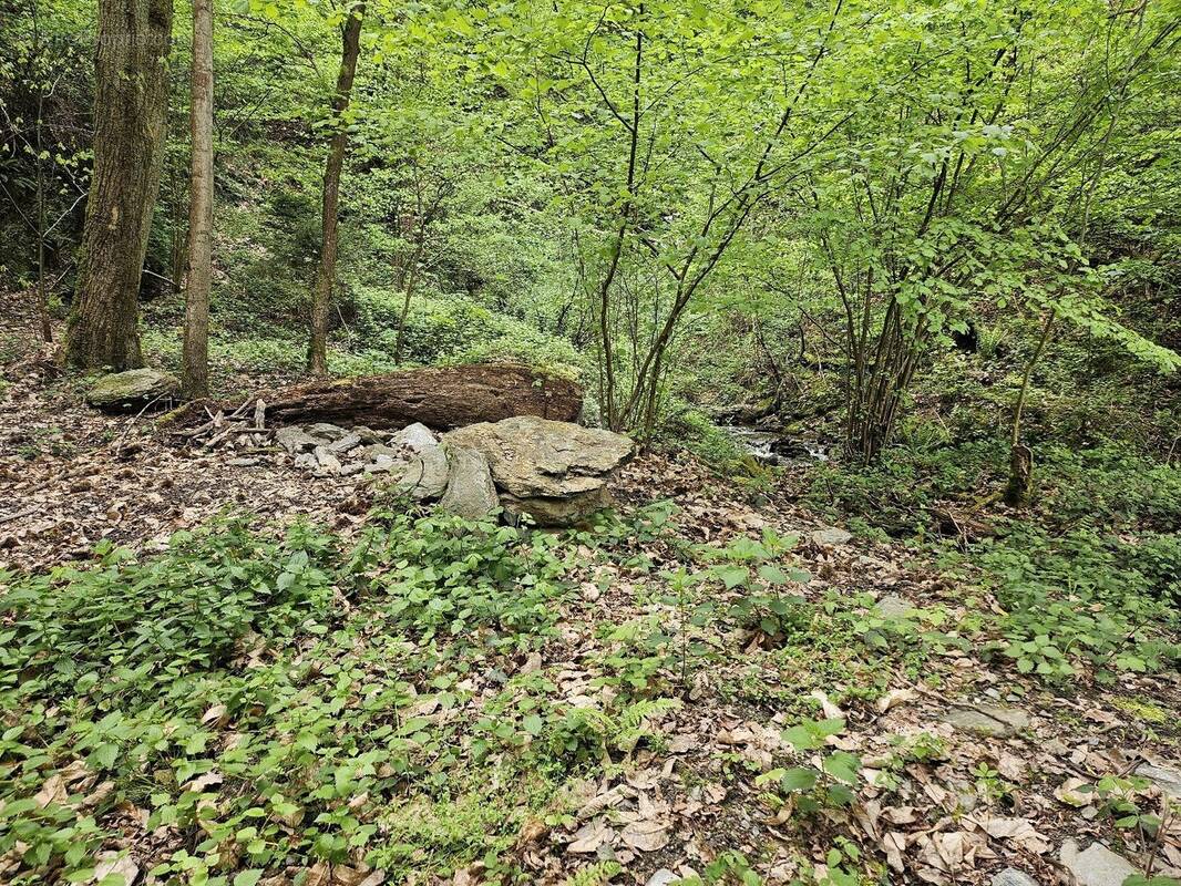 Terrain à SAINT-PAUL-SUR-ISERE