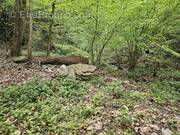 Terrain à SAINT-PAUL-SUR-ISERE
