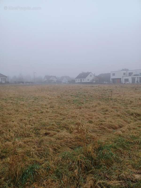 Terrain à SUNDHOFFEN