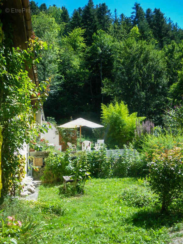 jardin - Maison à FOUGAX-ET-BARRINEUF