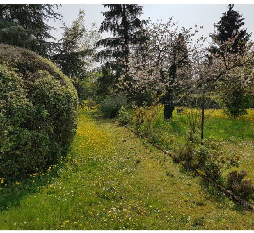 Terrain à AIGONNAY