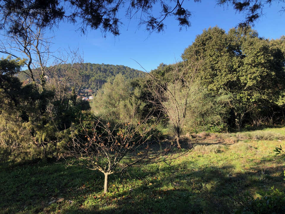 Terrain à CARNOULES
