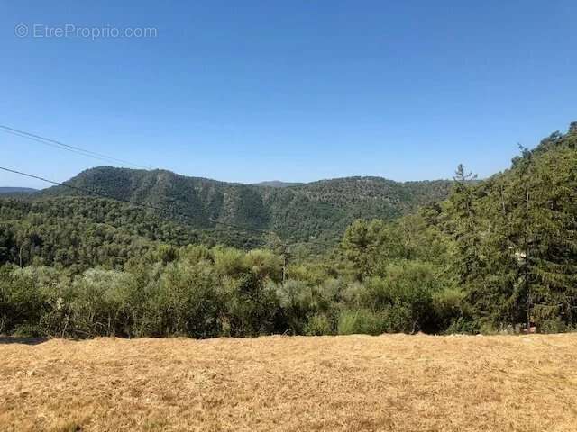 BASTIDON en Pierres sur 4230 m2 de terrain PLAT - photo 4