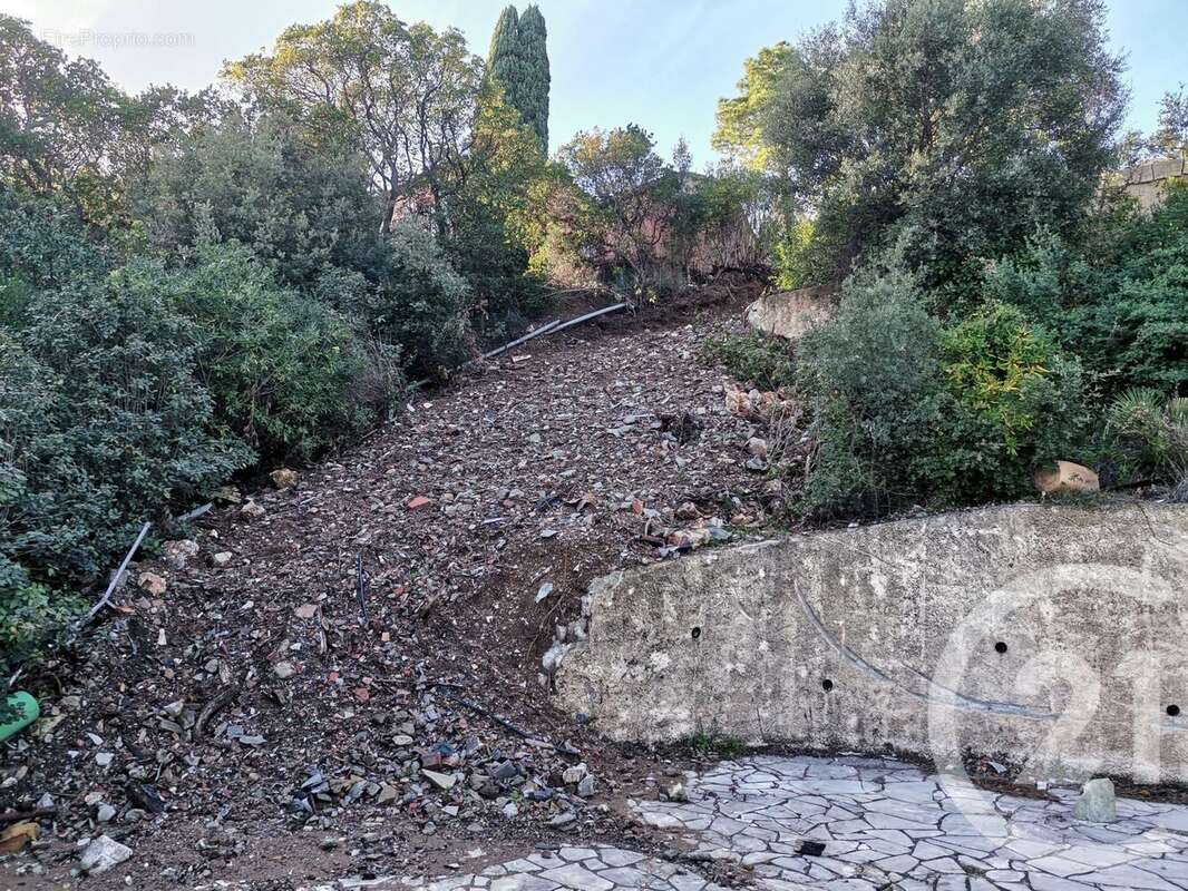 Terrain à ROQUEBRUNE-SUR-ARGENS