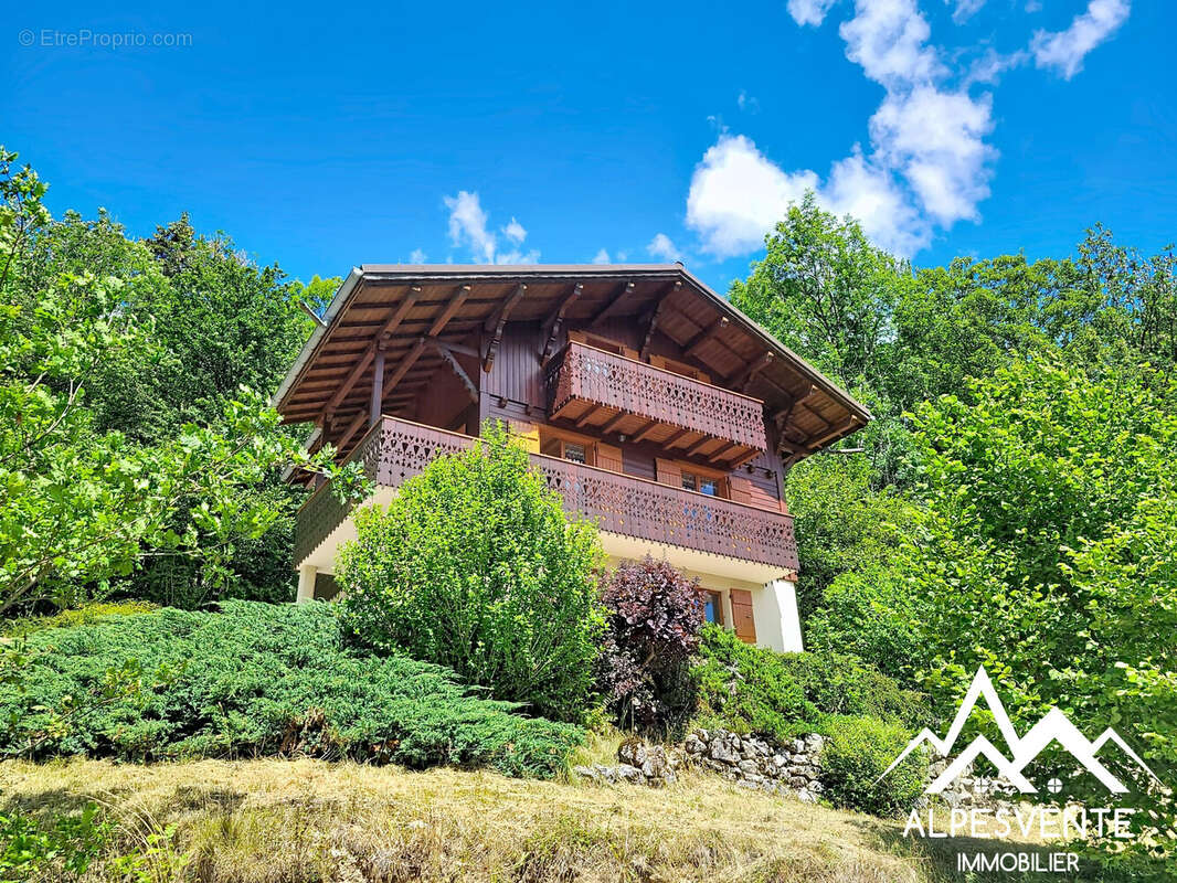 avendre_chalet_4chambres_vue_seytroux_alpesvente - Maison à SEYTROUX