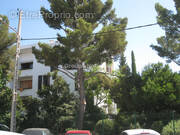 Appartement à SAUSSET-LES-PINS