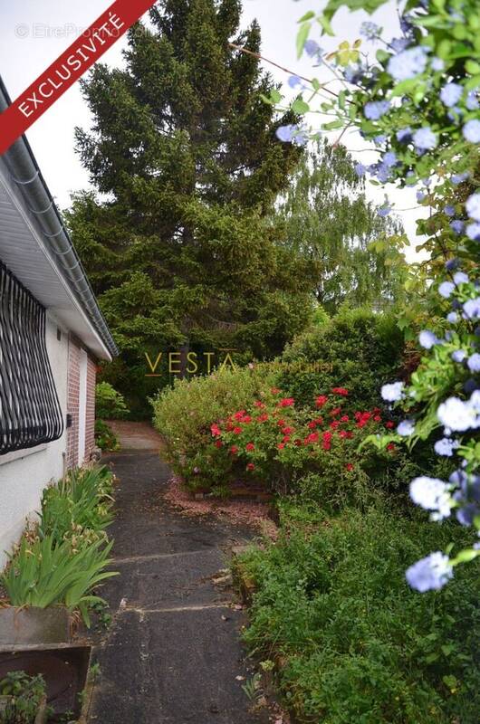 jardin - Maison à MONTREUIL