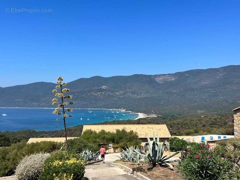 En Corse du Sud, à vendre 3 pièces SERRA DI FERRO (20) - photo 21