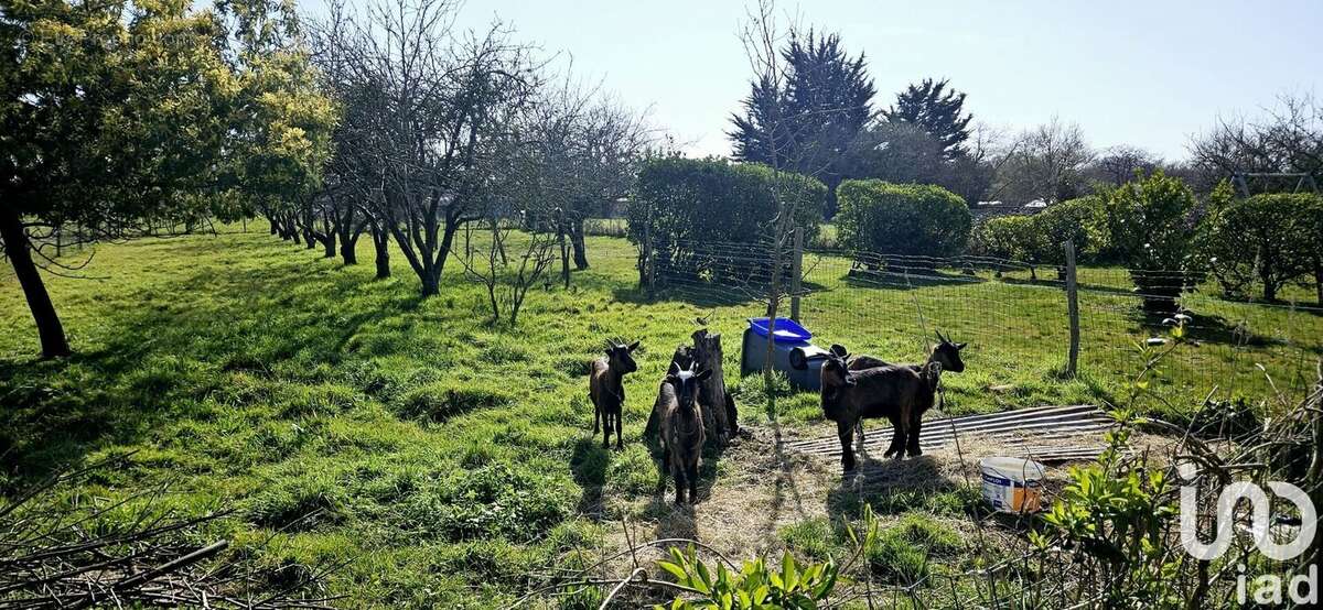 Photo 4 - Maison à BOUGUENAIS