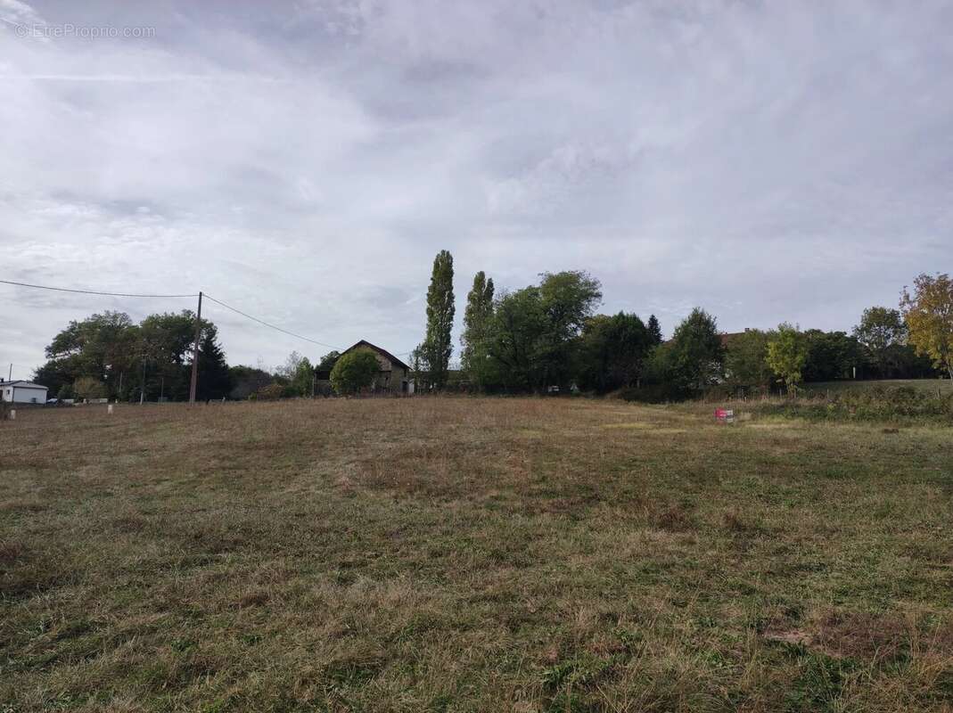 Terrain à bâtir  - Petit Lotissement - photo 3
