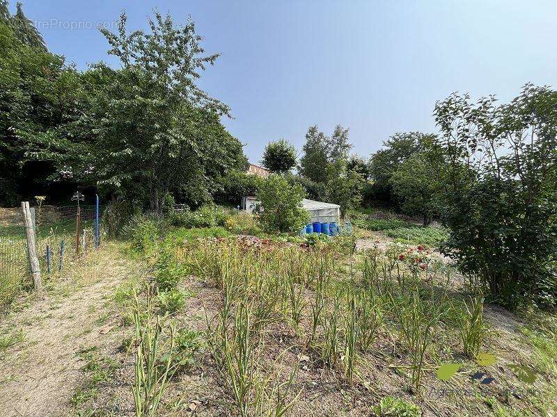 Terrain à SAUVIAT-SUR-VIGE