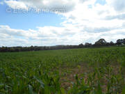Terrain à LES LOGES-MARCHIS
