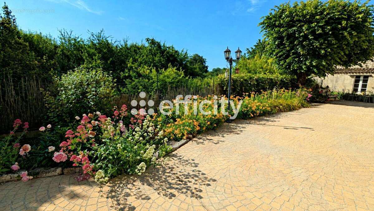 Maison 355 m² à Asnieres-Sur-Nouere  - photo 4