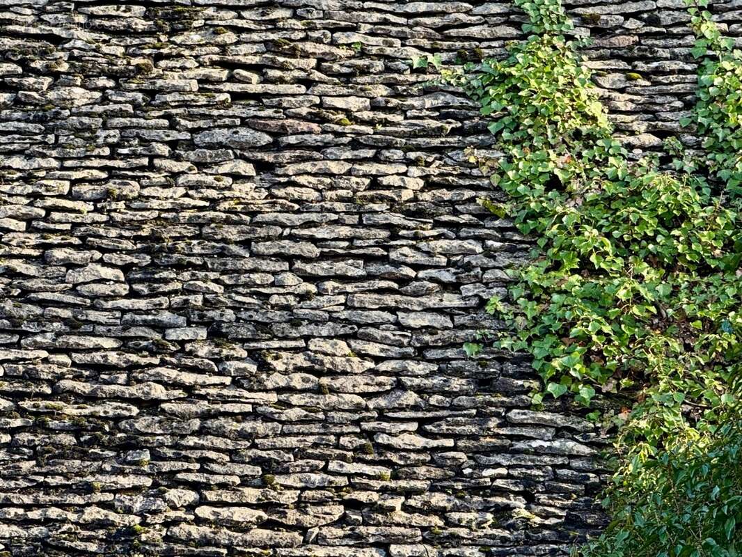 IMG_1236.jpeg - Maison à BEYNAC-ET-CAZENAC