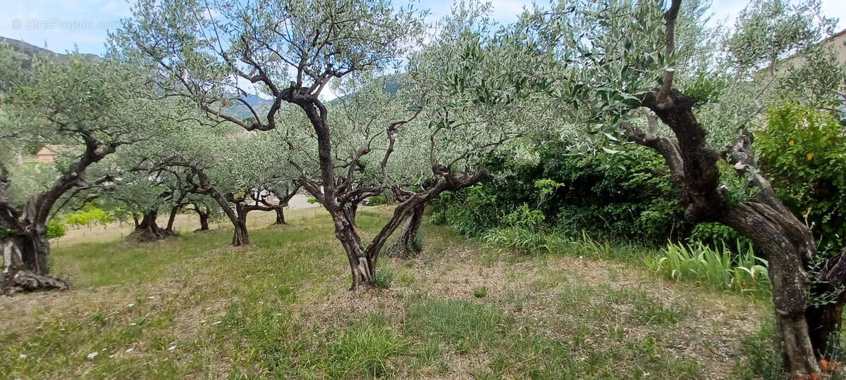 Maison à BUIS-LES-BARONNIES