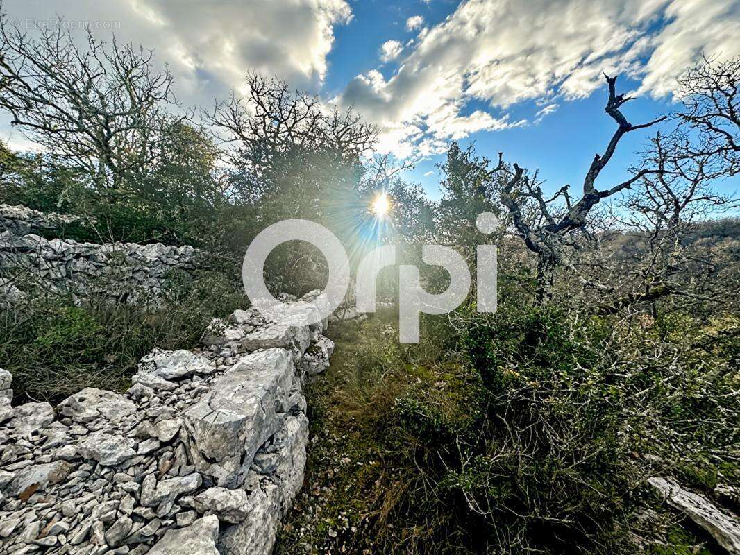 Terrain secteur Saint Paul Le Jeune - photo 2