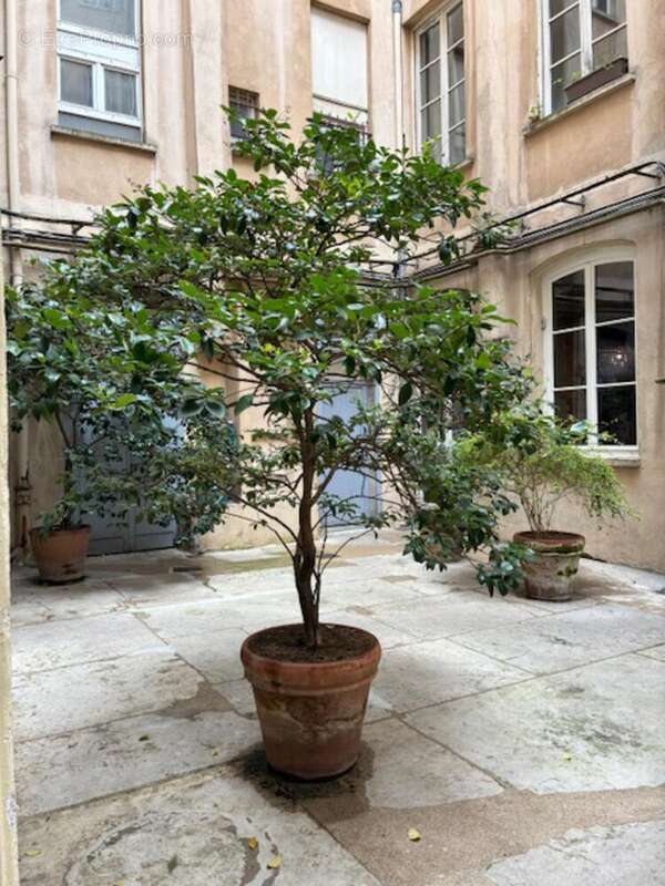 Photo 2 - Appartement à LYON-1E