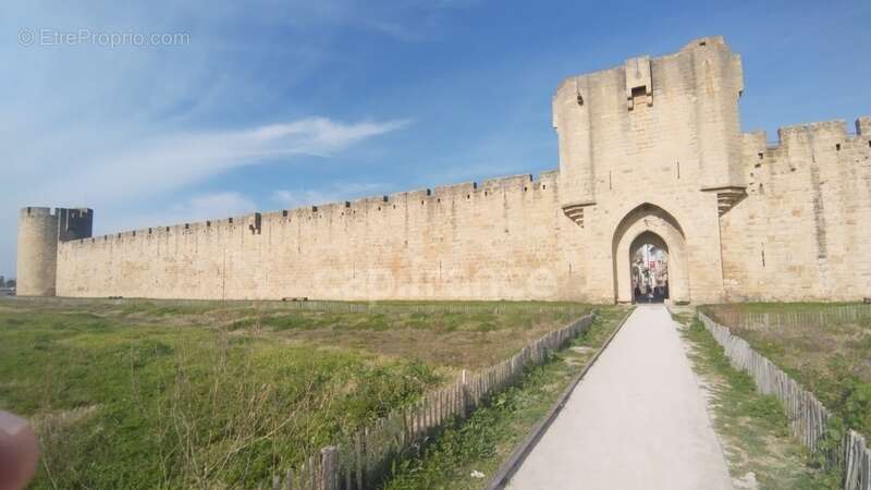 Commerce à AIGUES-MORTES