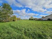 Terrain à SAINT-HILAIRE-LA-PALUD