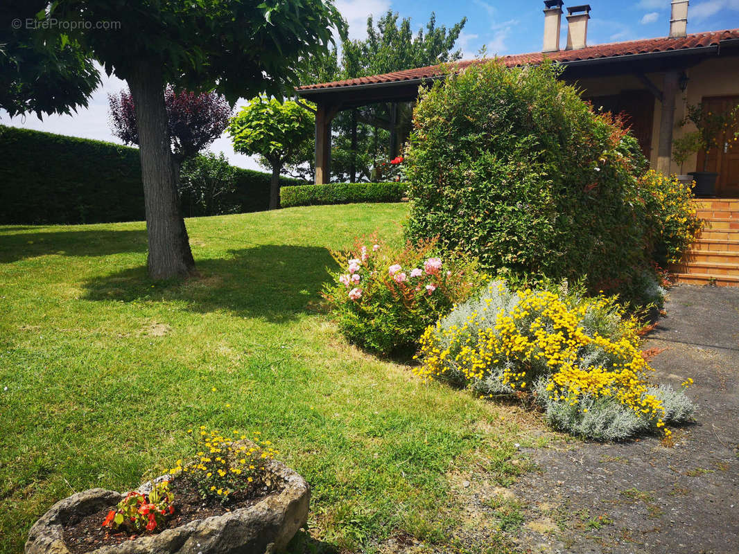 façade sud - Maison à AUCH